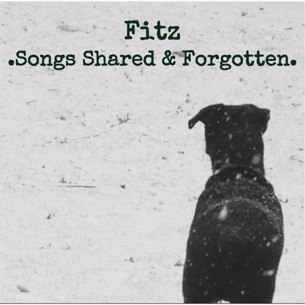 Picture of Songs Shared and Forgotten