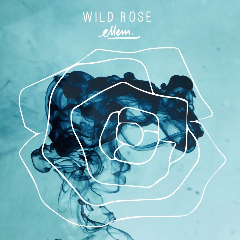 Picture of Wild Rose