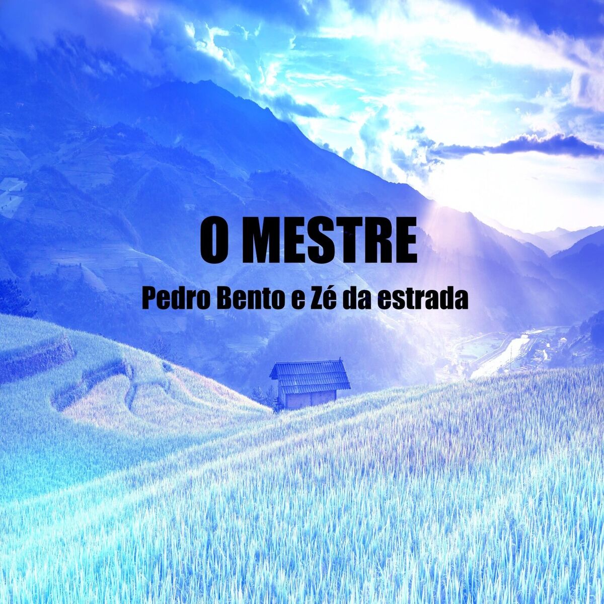 Album cover of O Mestre