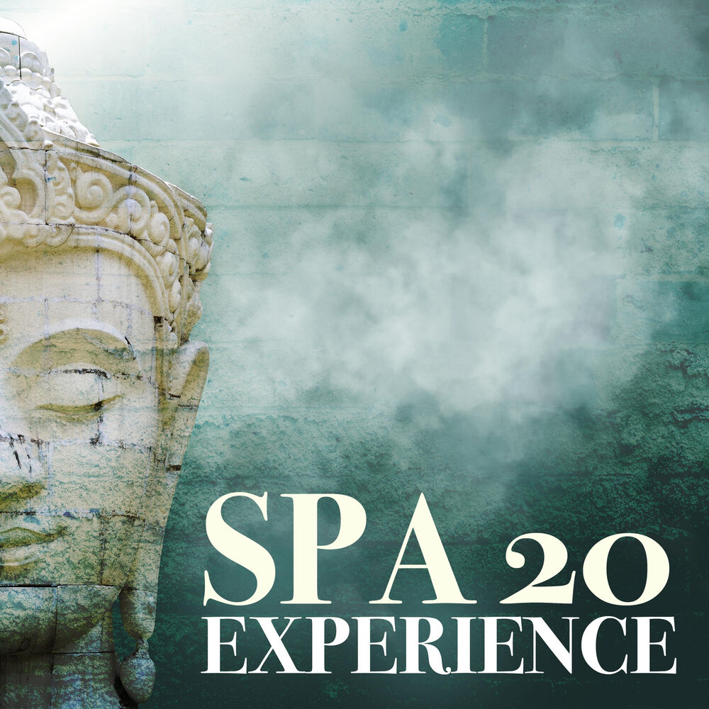 Picture of SPA EXPERIENCE 20: Momentos Especiais no Spa, Proporcionar Conforto, Desintoxicar e Revigorar
