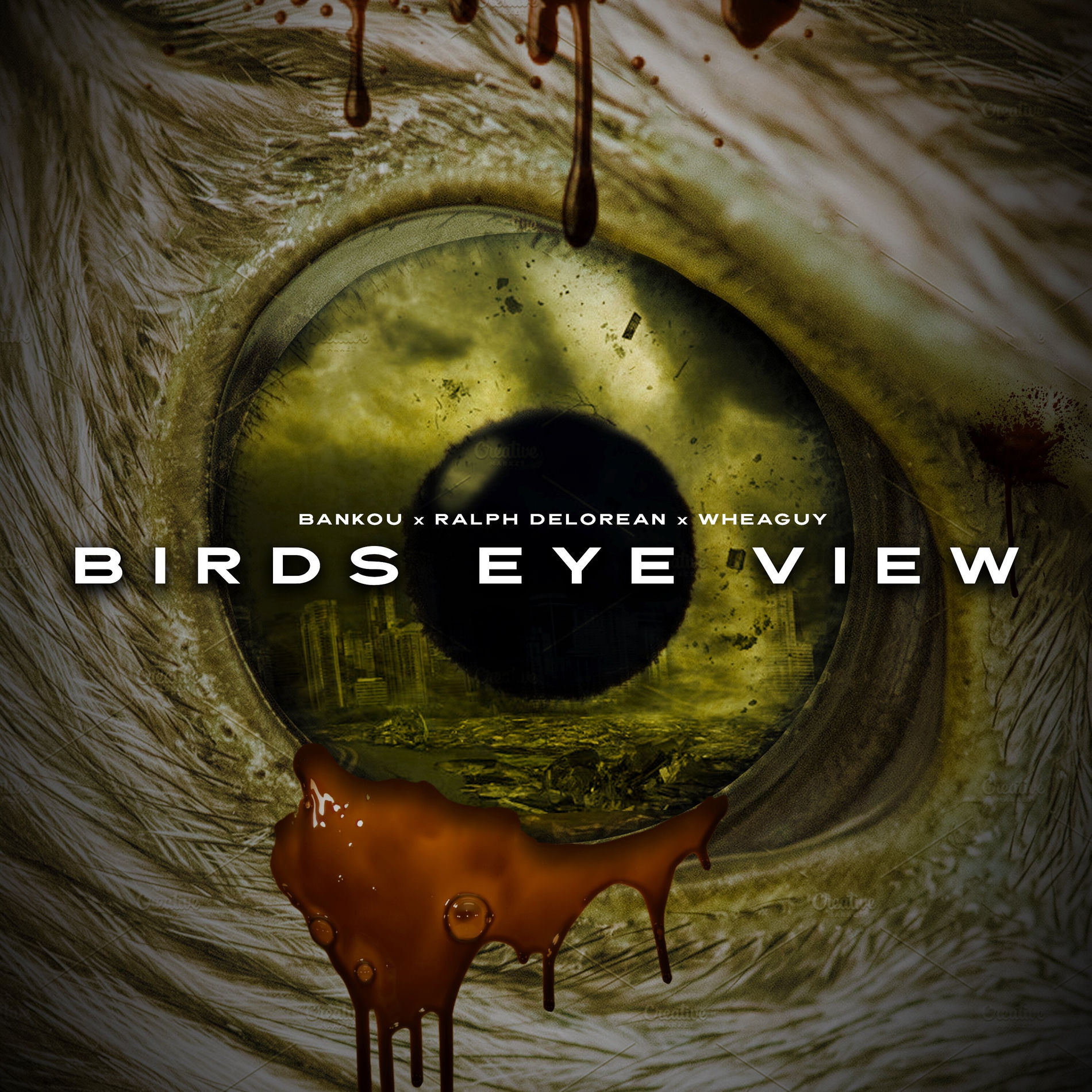 A Bird'S Eye View Album: Stunning Insights from Above