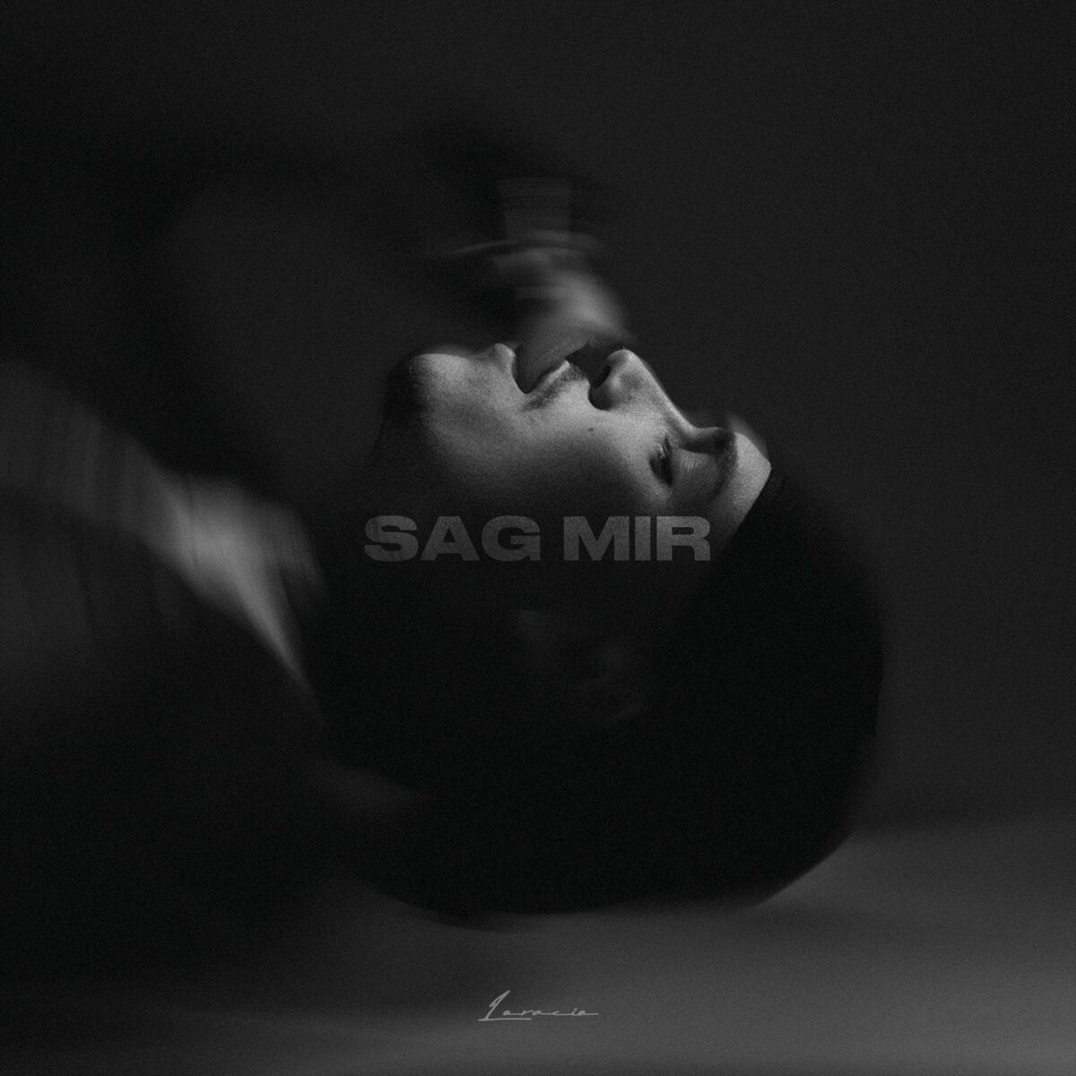 Album cover of Sag mir