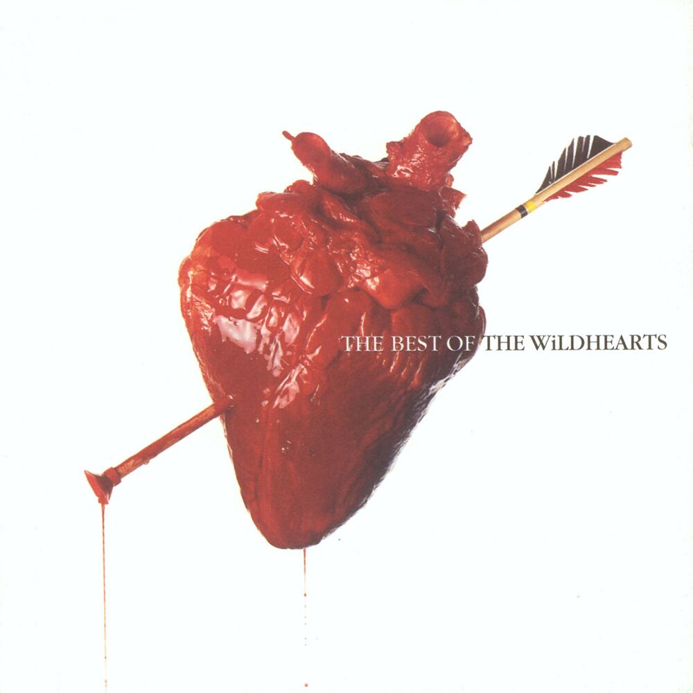 Picture of The Best Of The Wildhearts