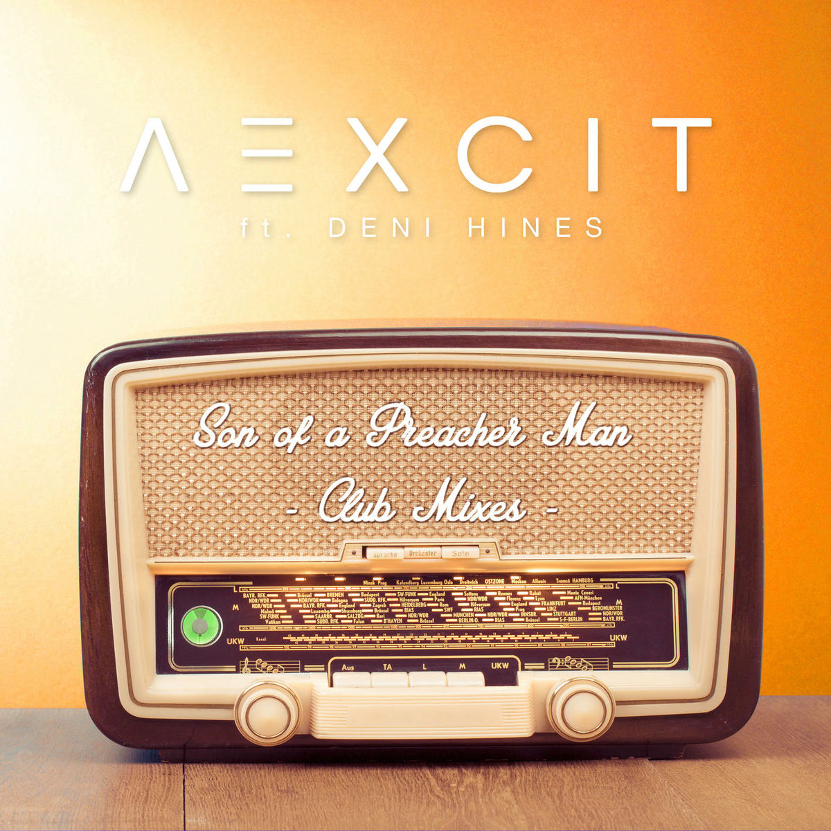 Album cover of Son of a Preacher Man (Club Mixes) (feat. Deni Hines)