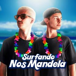 Cover of SURFANDO NOS MANDELA
