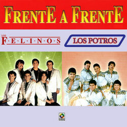 Cover of Frente A Frente
