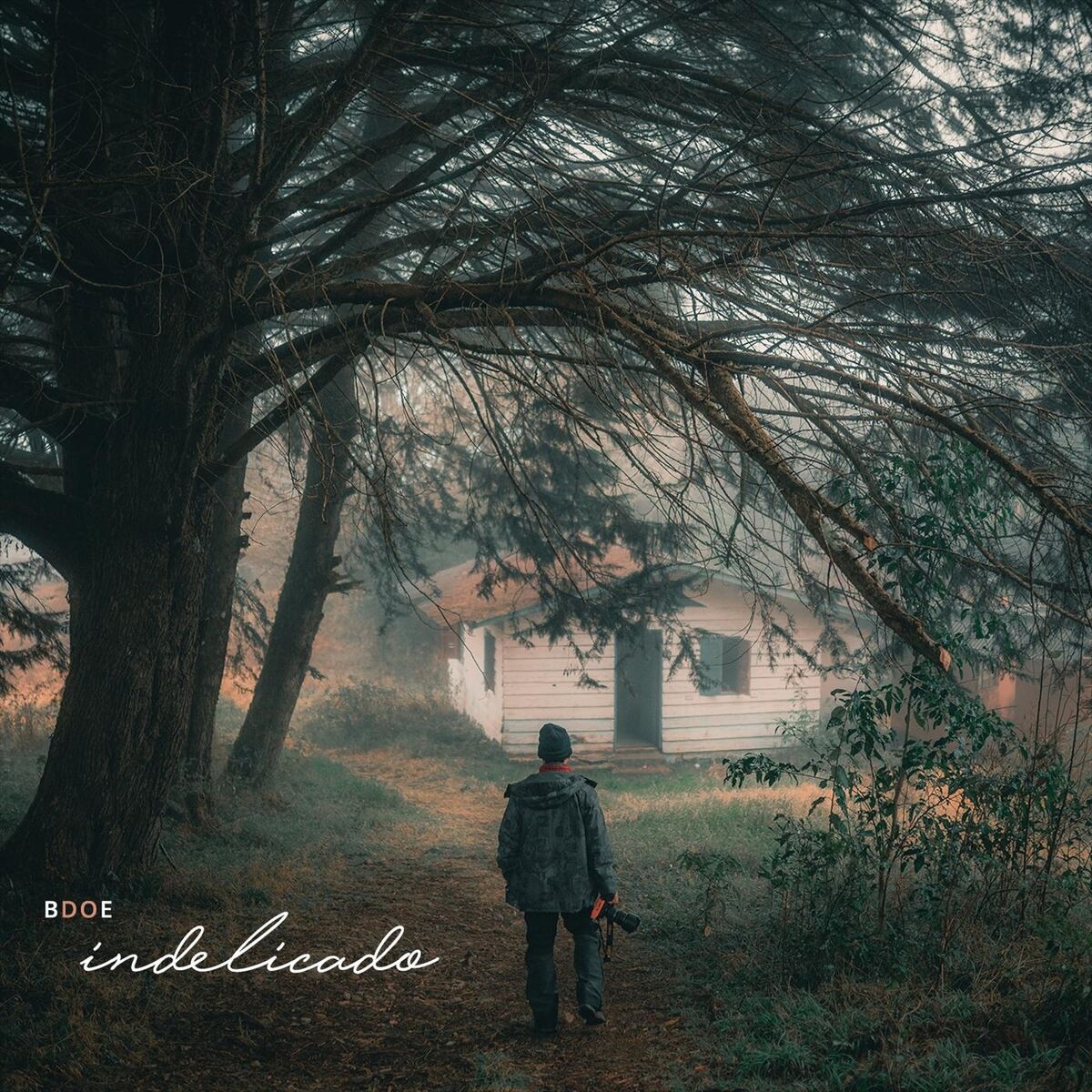 Album cover of Indelicado