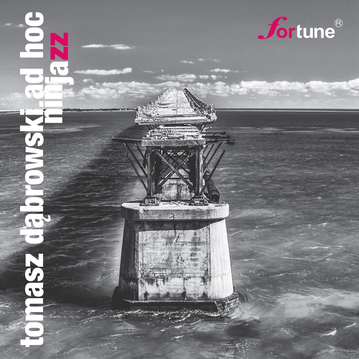 Album cover of Ninjazz