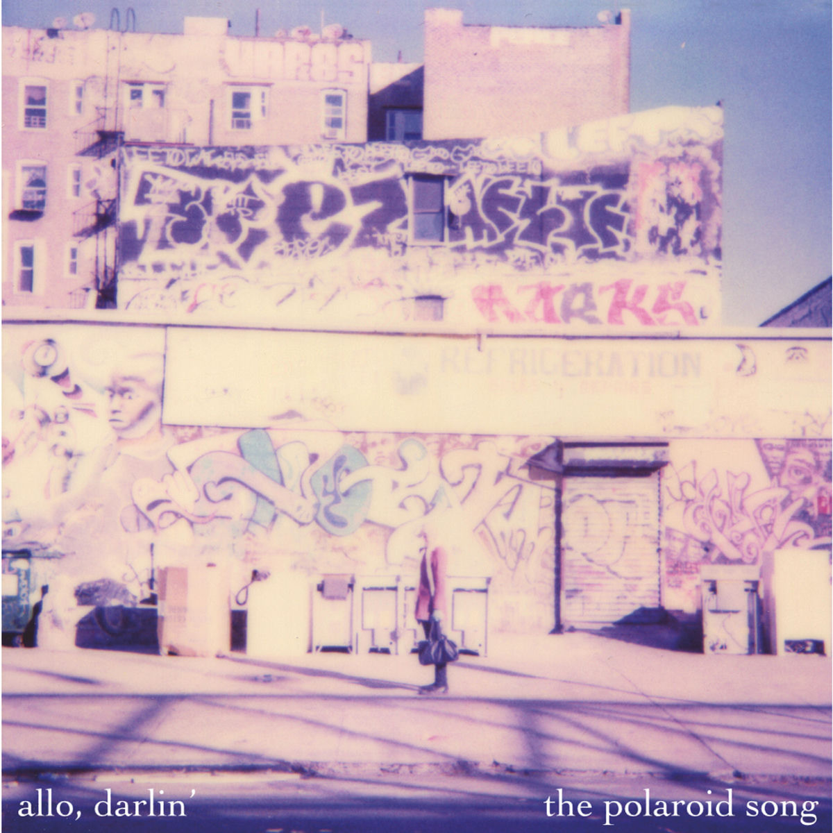 Album cover of The Polaroid Song