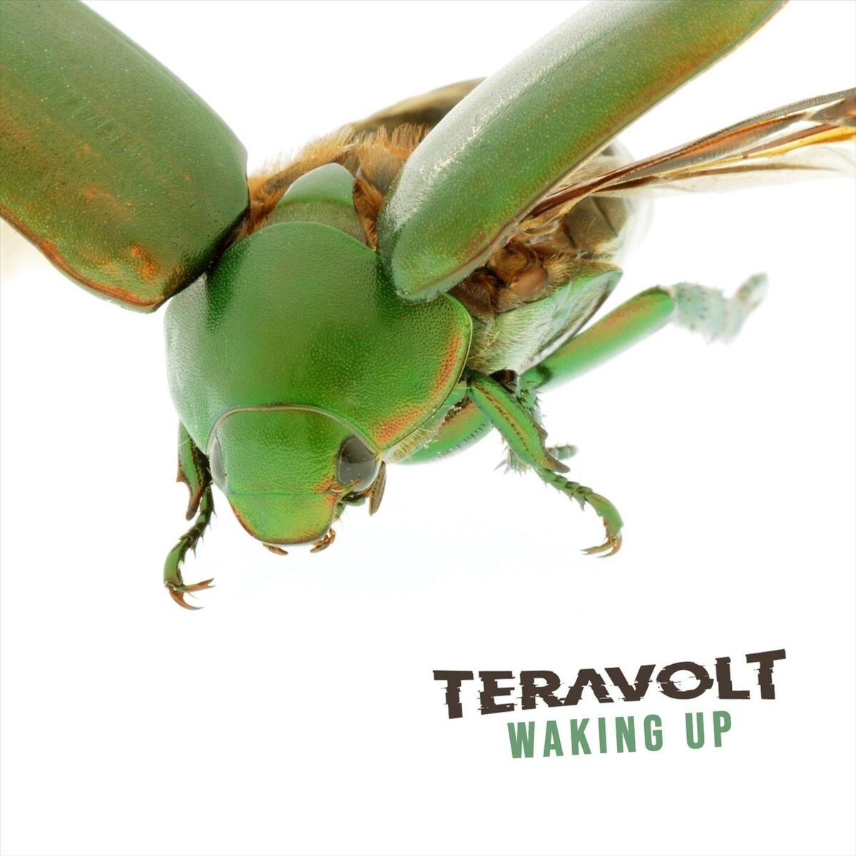 Album cover of Waking Up