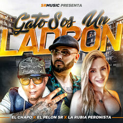 Cover of Gato Sos un Ladron