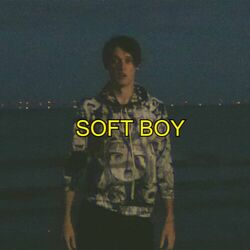 Cover of Soft Boy