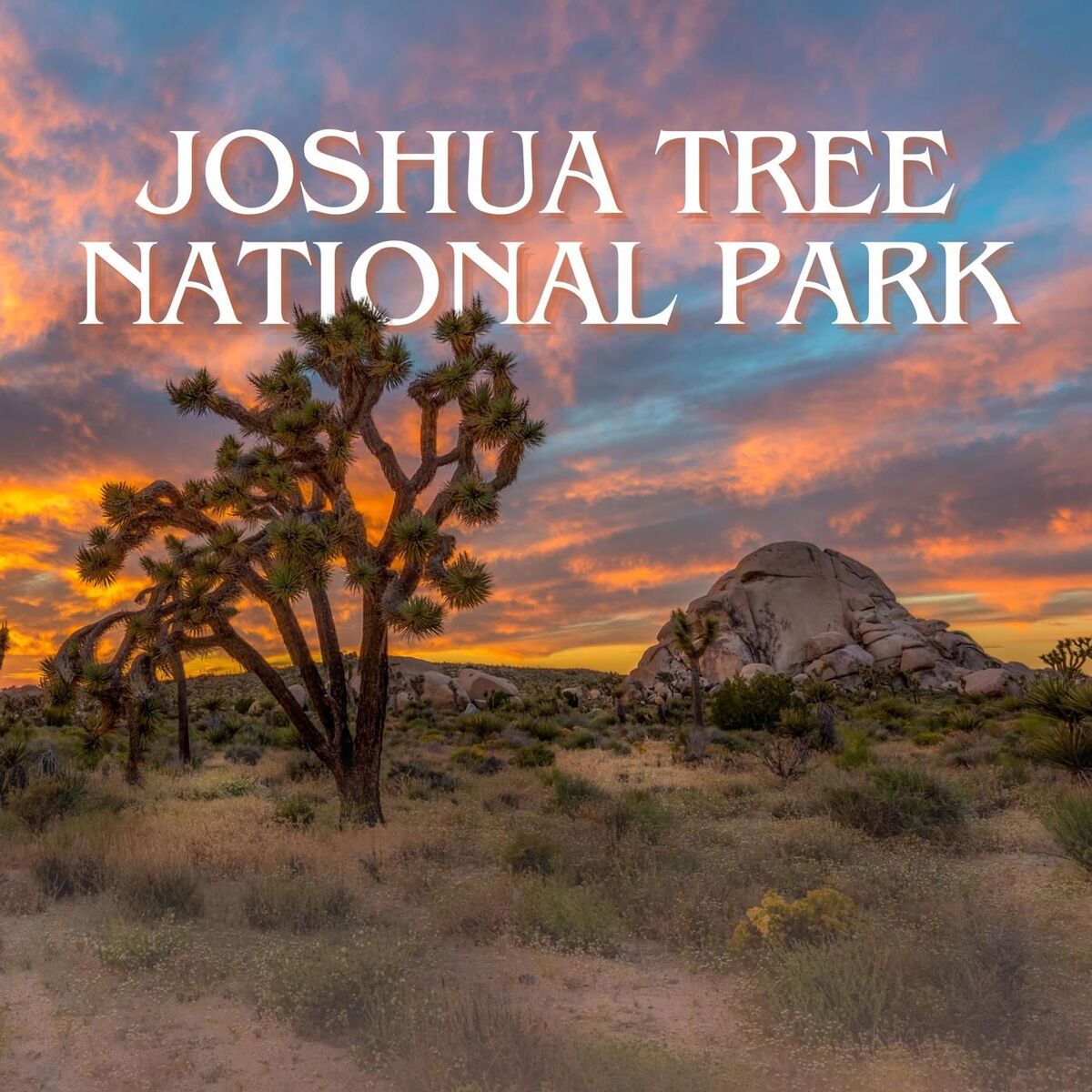 Album cover of Joshua Tree National Park – California Road Trip Songs