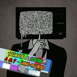 Cover of Living on Video