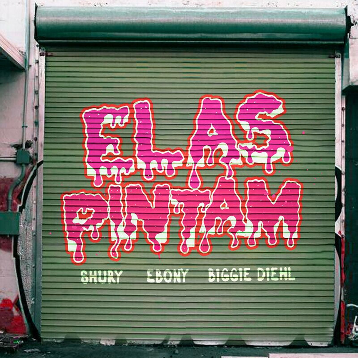 Album cover of ELAS PINTAM