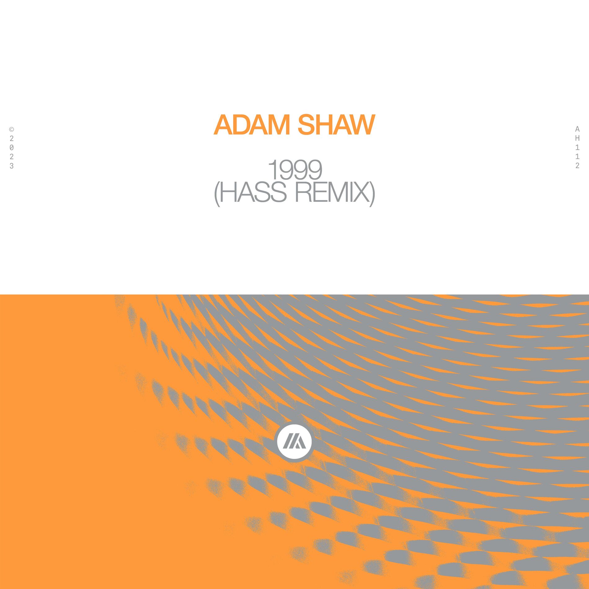 Album cover of 1999 (Hass Remix)