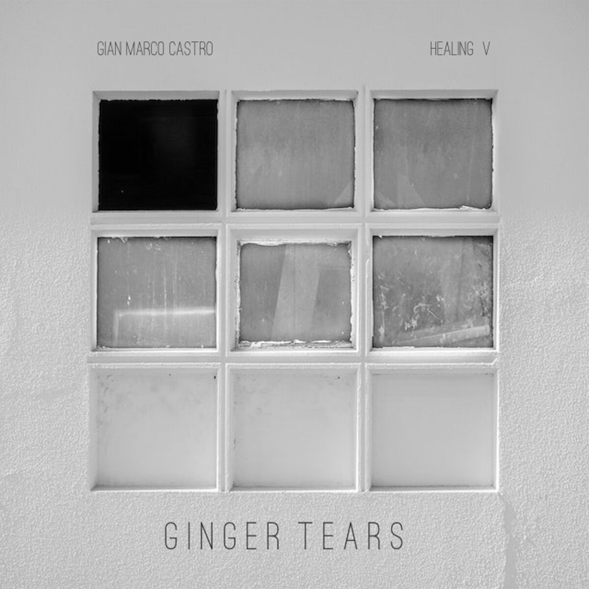 Album cover of Ginger Tears - Healing V