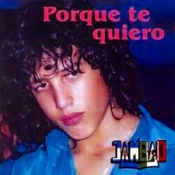 Cover of Porque Te Quiero