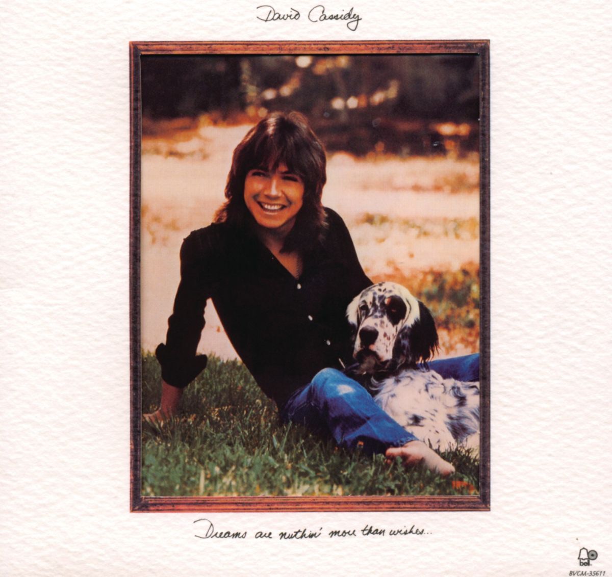 Album cover of Fever