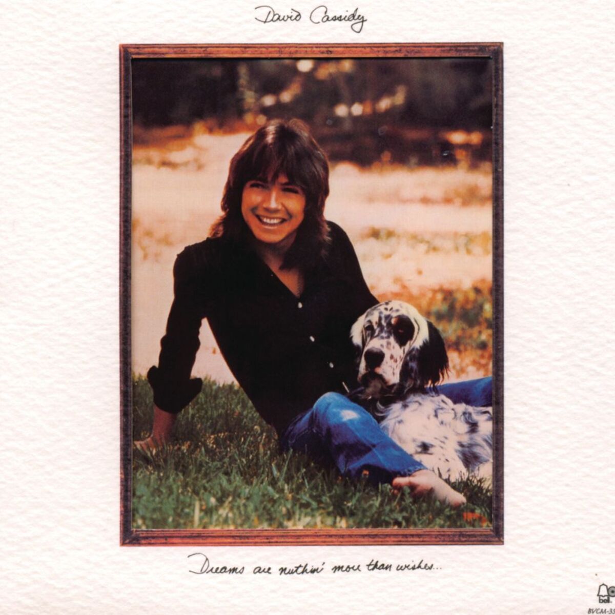 Album cover of Dreams Are Nuthin' More Than Wishes