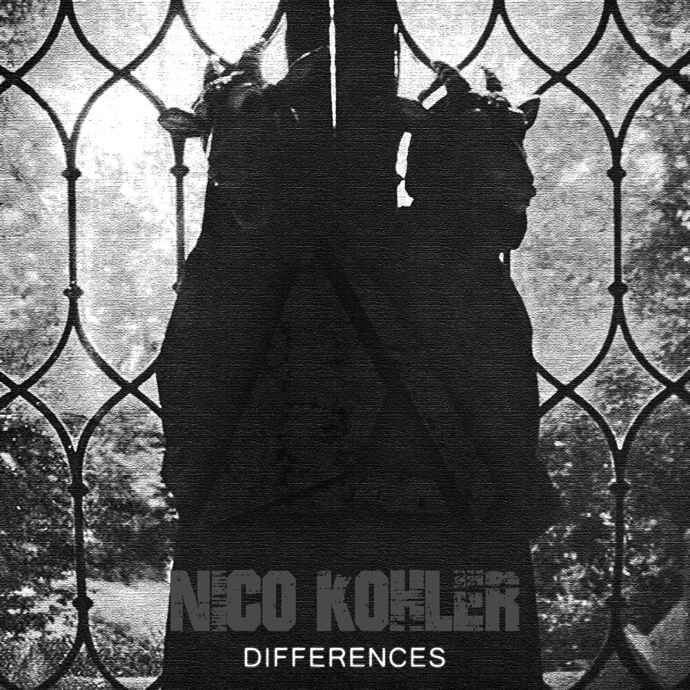 Picture of Differences