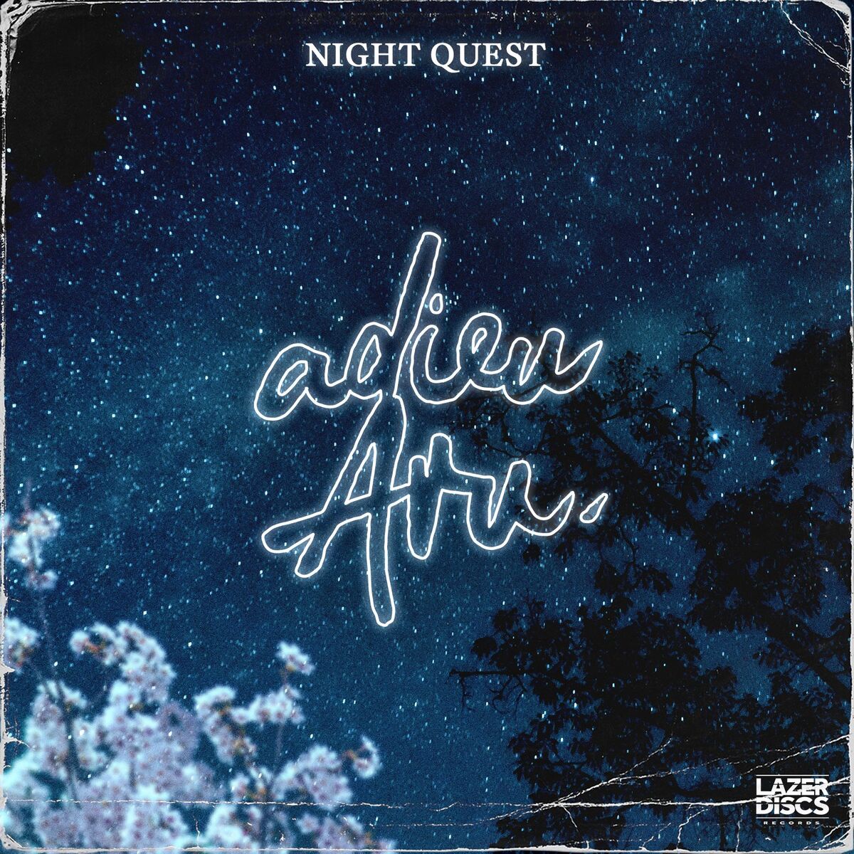 Album cover of Night Quest