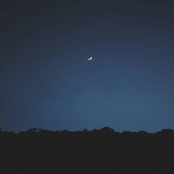 Cover of Summer Nights