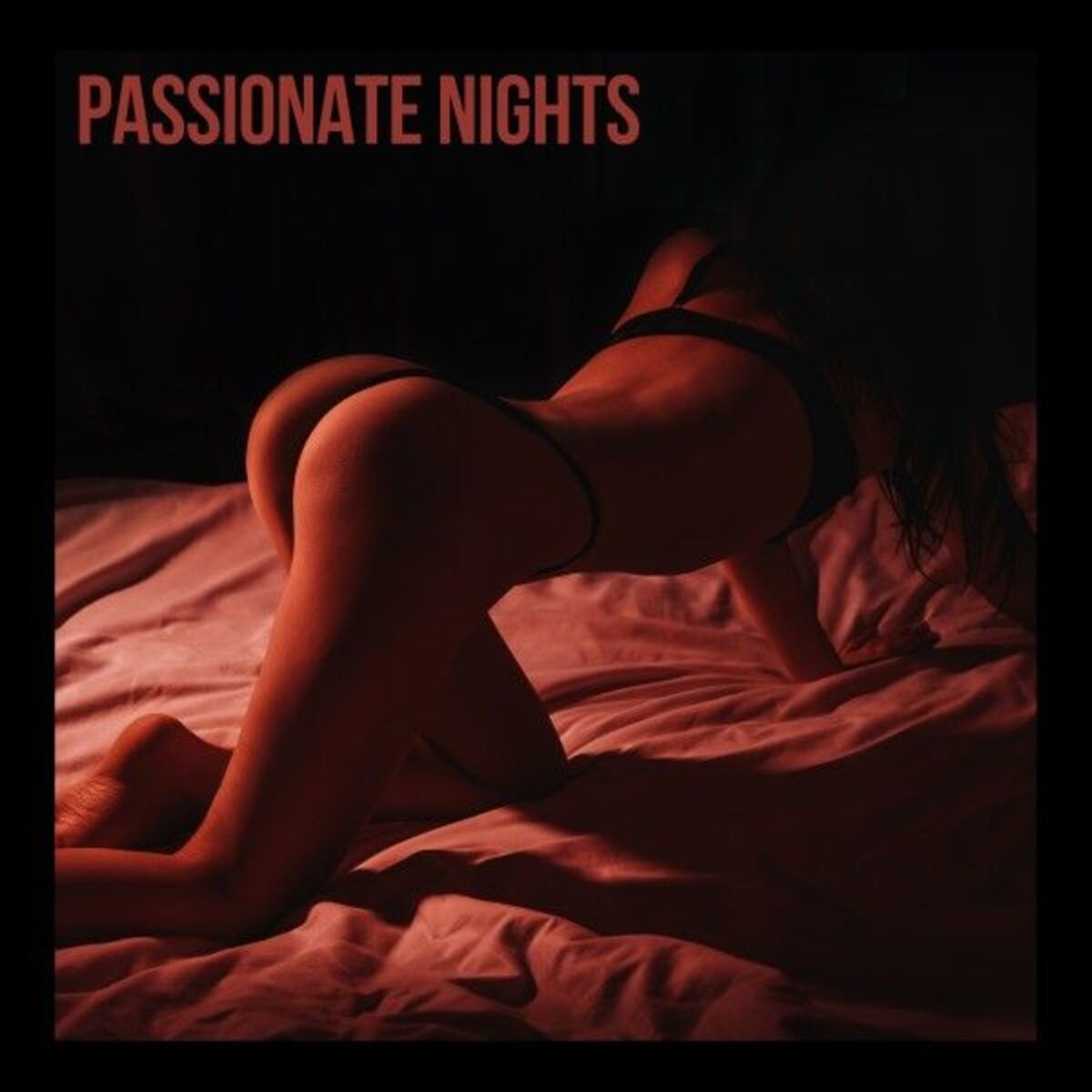 Album cover of Passionate Nights