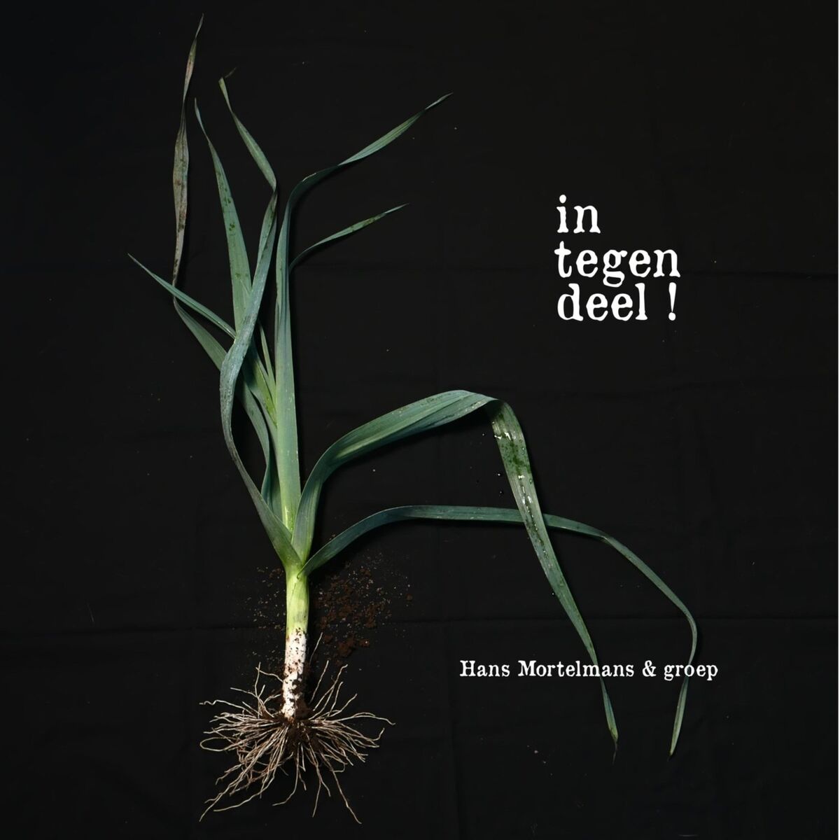 Album cover of Integendeel!