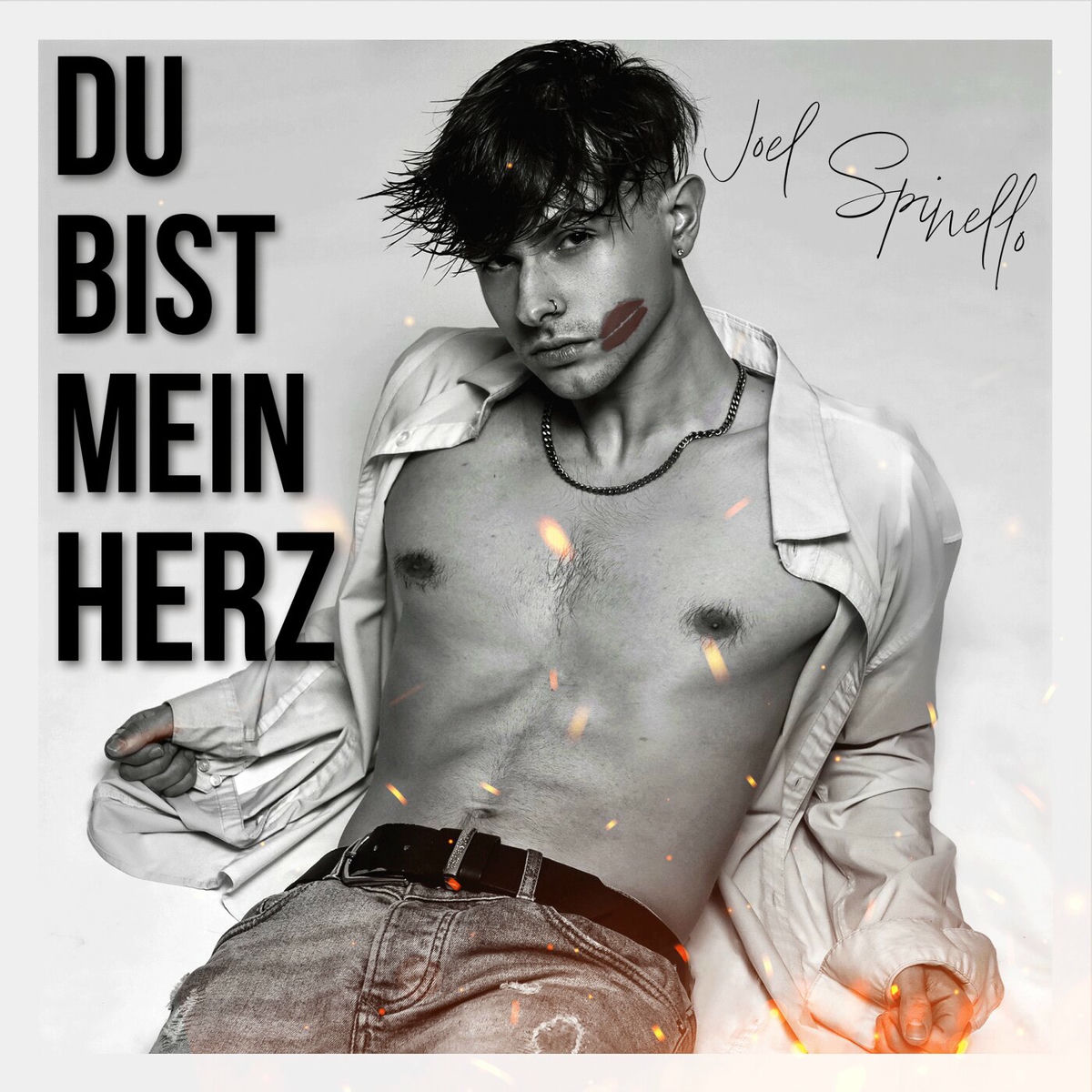 Album cover of Du bist mein Herz