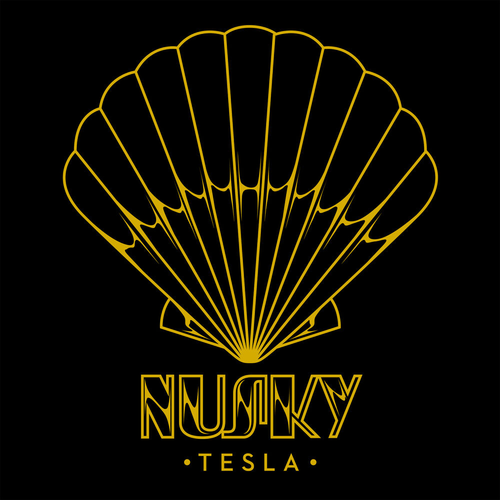 Picture of Tesla