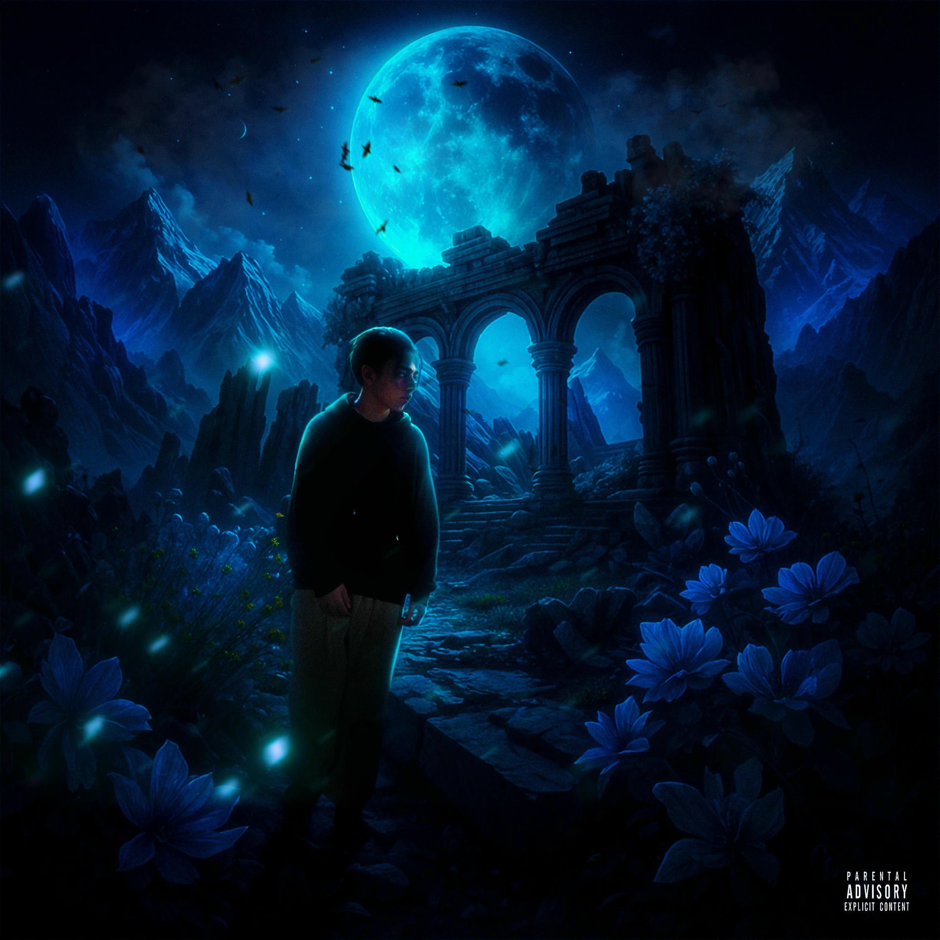 Album cover of NON PUOI CAPIRE CIÓ CHE PROVO