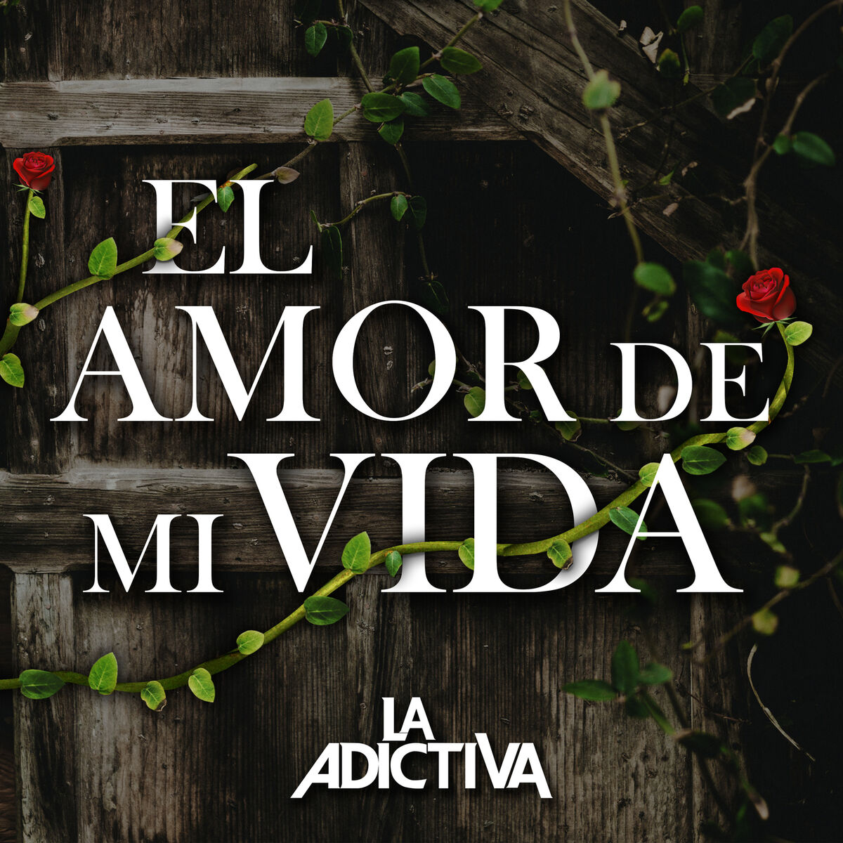 Album cover of El Amor de Mi Vida