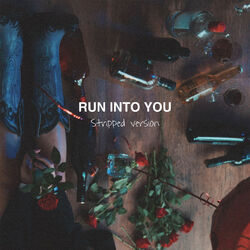 Cover of Run Into You (Stripped)
