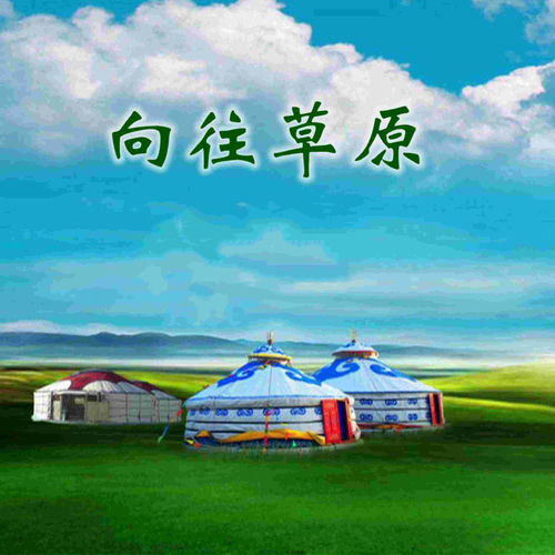 向往草原