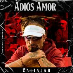 Cover of Adiós Amor