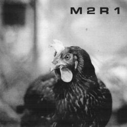 Cover of KUR*A
