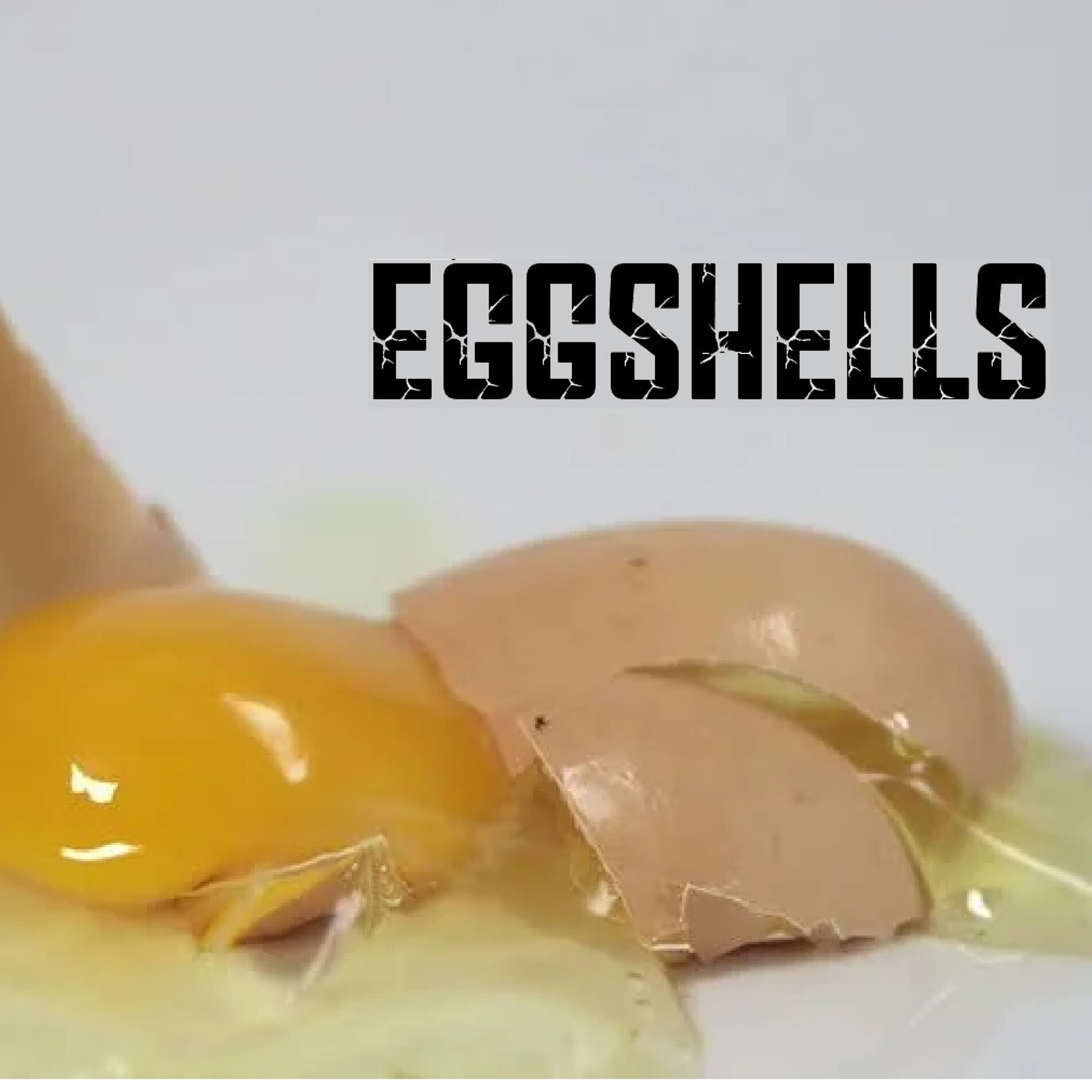 Album cover of Eggshells (feat. Ren)