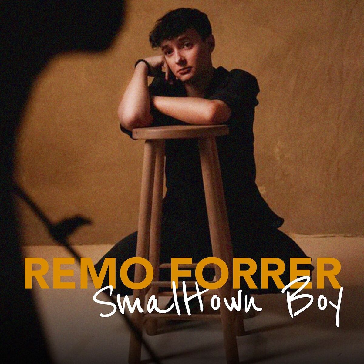 Album cover of Smalltown Boy