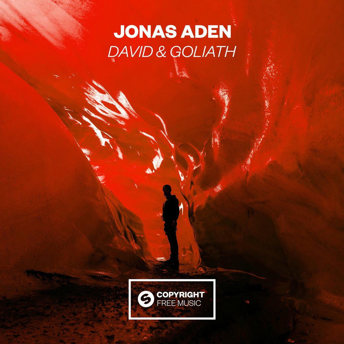 Album cover of David & Goliath