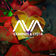 Paper Heart by Eximinds album cover
