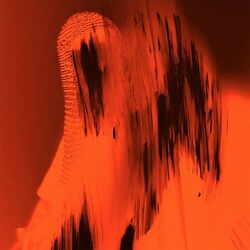 Cover of Near Vision / Enter the Flesh