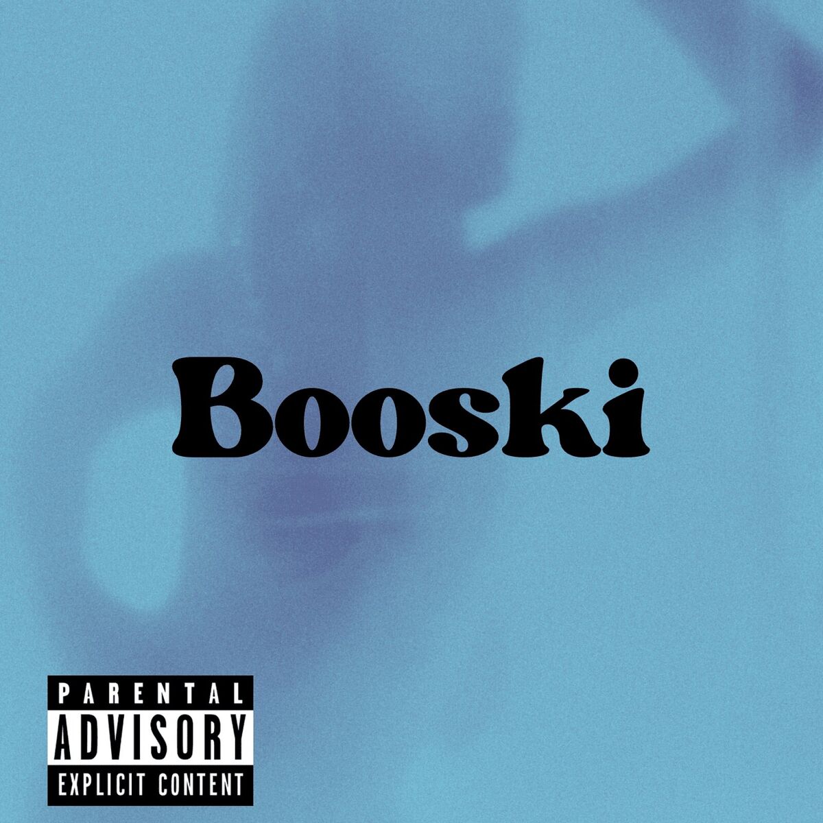 Album cover of Booskie