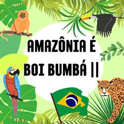 Cover of Amazônia É Boi Bumbá Ii