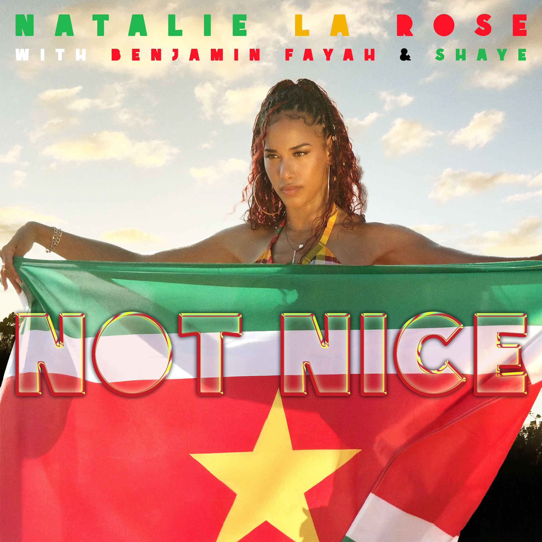 Album cover of NOT NICE