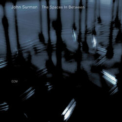 Cover of The Spaces In Between