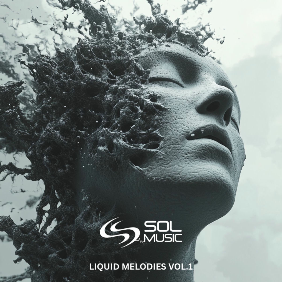 Album cover of Liquid Melodies, Vol. 1
