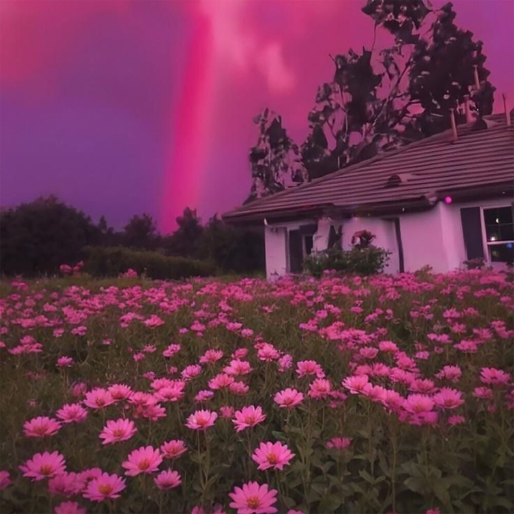 Picture of A Journey Of Stillness (Instrumental)