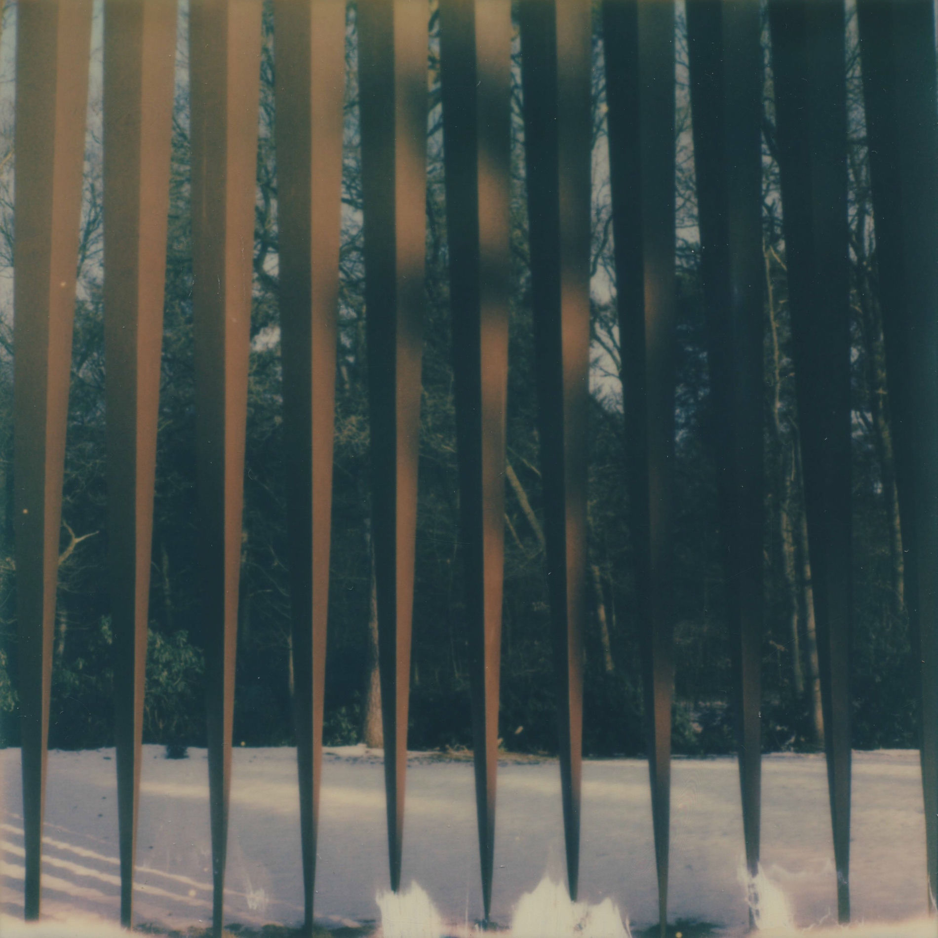 Album cover of 朝