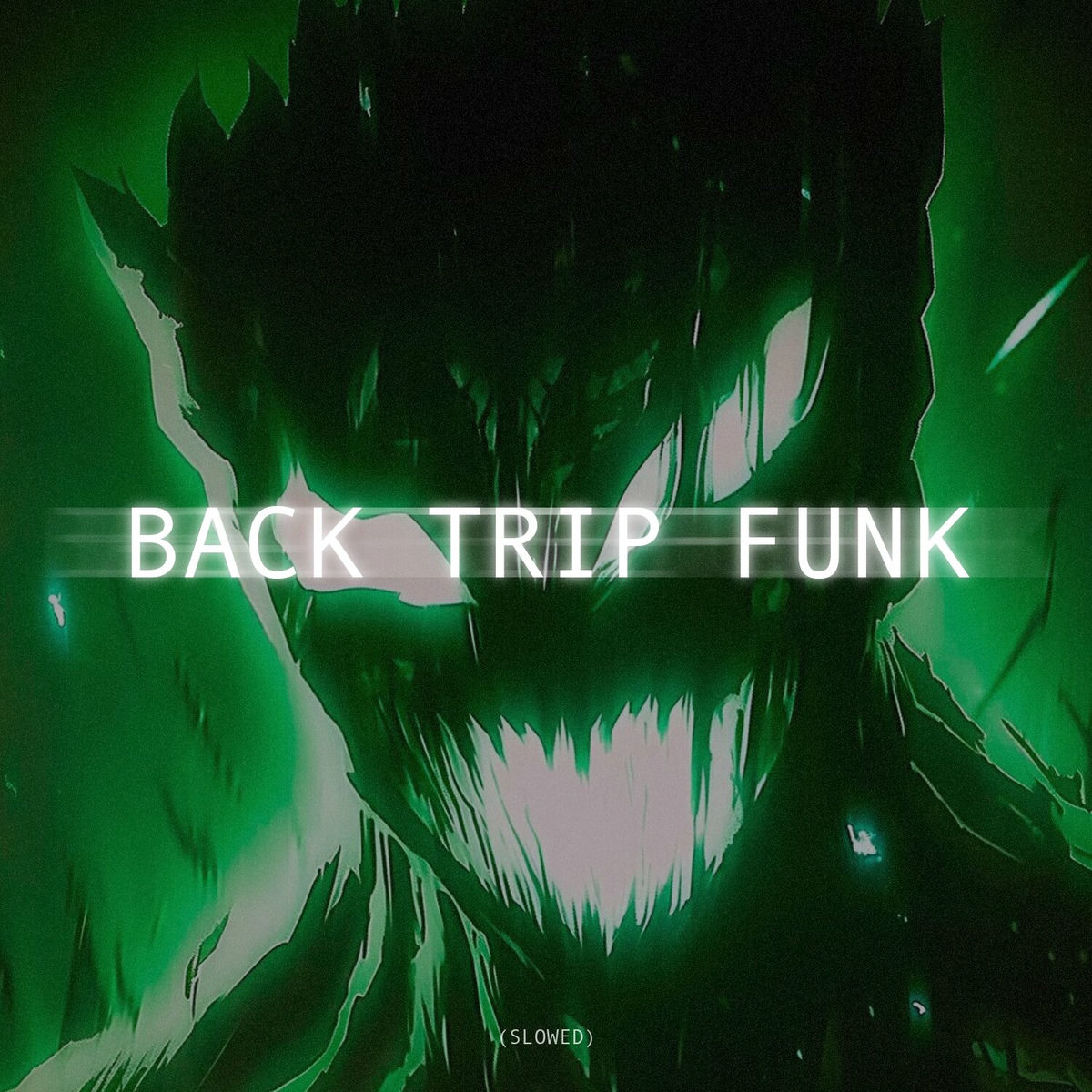 Album cover of BACK TRIP FUNK (SLOWED)
